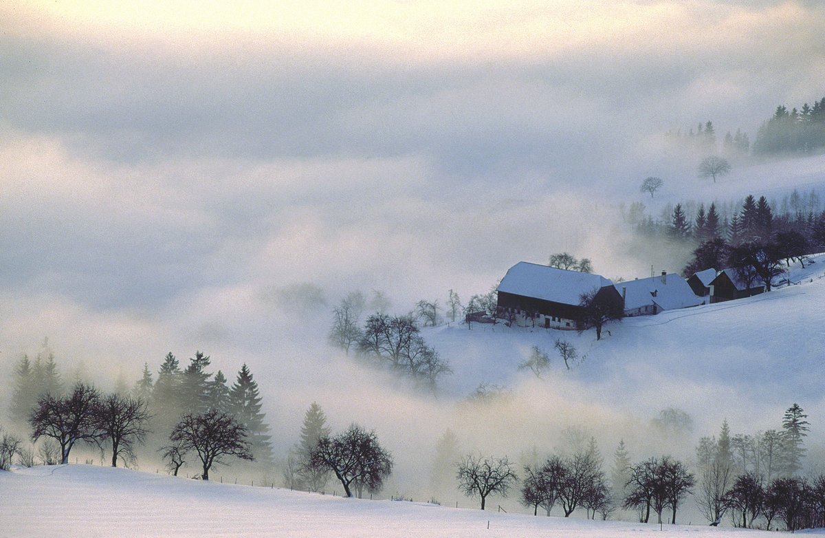 Fog at Dawn Ennstal Valley Styria