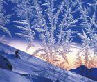 miniatura Alpine Skiing Composite Picture