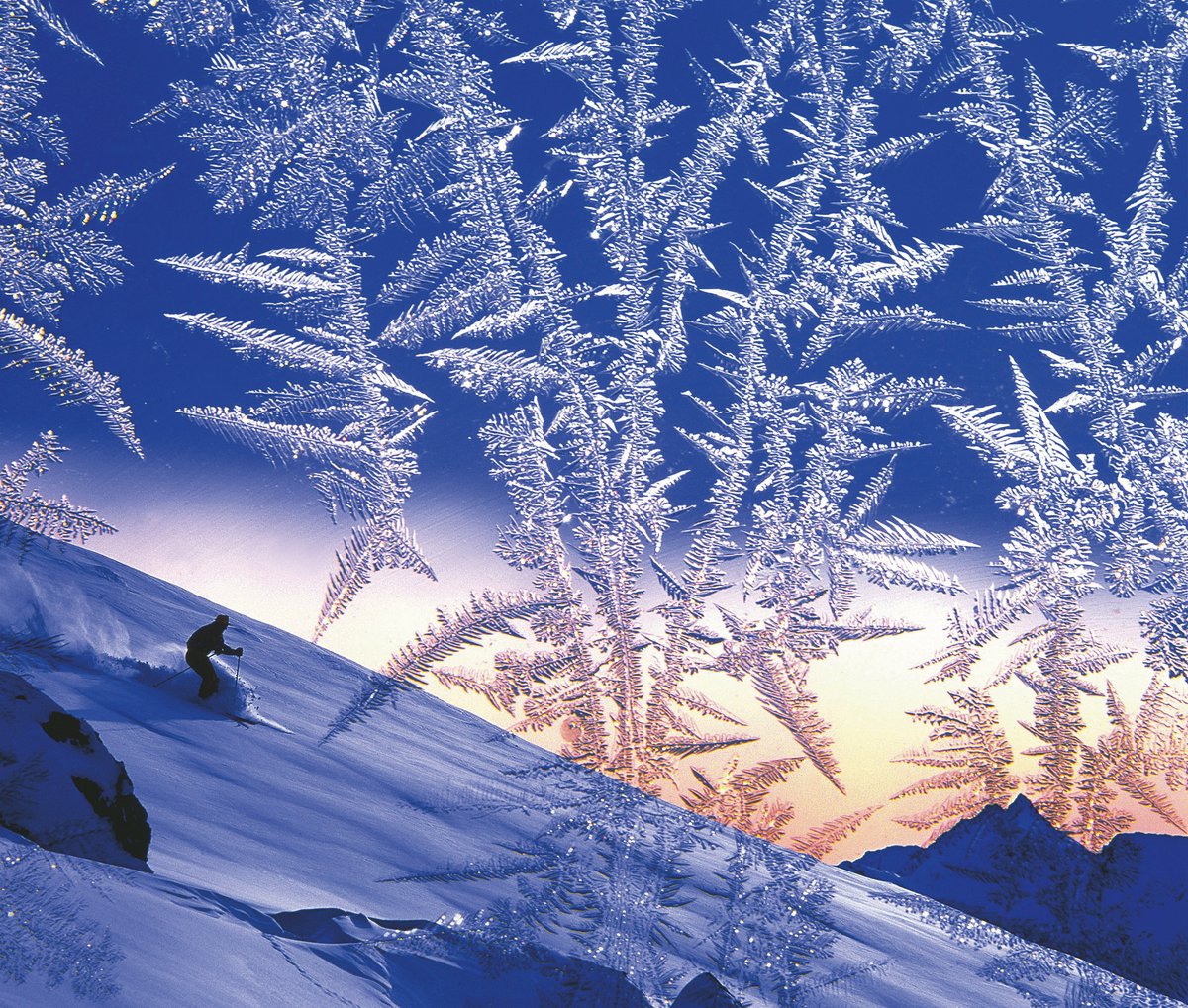 Alpine Skiing Composite Picture
